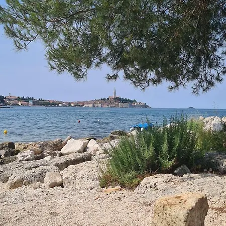 Hemy Casa - Lux Mobile Homes Camping Rovinj